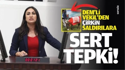 DEM&rsquo;li Vekil&rsquo;den &ccedil;irkin saldırılara sert tepki!