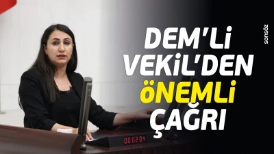 DEM&rsquo;li Vekil&rsquo;den &ouml;nemli &ccedil;ağrı