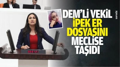 DEM&rsquo;li Vekil, İpek Er dosyasını meclise taşıdı