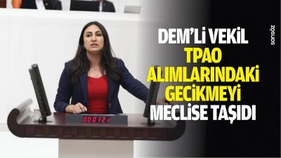 DEM&rsquo;li Vekil, TPAO alımlarındaki gecikmeyi meclise taşıdı