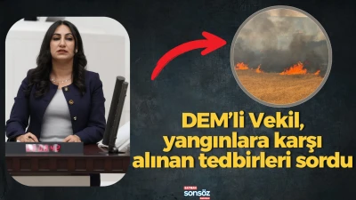 DEM&rsquo;li Vekil, yangınlara karşı alınan tedbirleri sordu