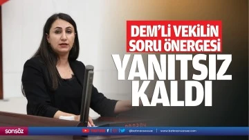 DEM&rsquo;li vekilin soru &ouml;nergesi yanıtsız kaldı