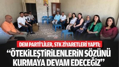 DEM Parti&rsquo;liler, STK ziyaretleri yaptı