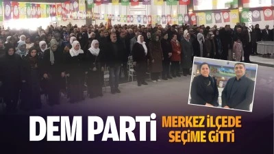 DEM Parti, merkez il&ccedil;ede se&ccedil;ime gitti