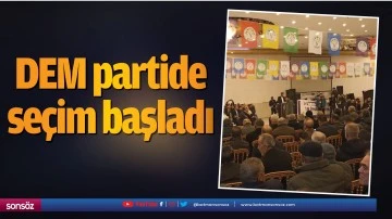 DEM partide se&ccedil;im başladı