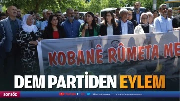 DEM partiden eylem