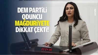 Dem Partili Oduncu, mağduriyete dikkat &ccedil;ekti!
