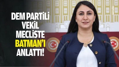 Dem Partili Vekil, mecliste Batman&rsquo;ı anlattı!