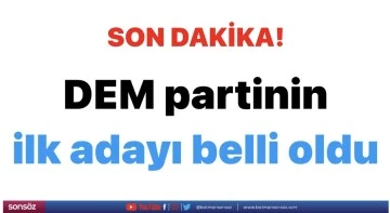 DEM partinin ilk adayı belli oldu