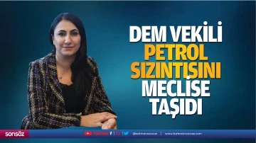 DEM vekili, petrol sızıntısını meclise taşıdı