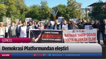 Demokrasi Platformundan eleştiri