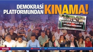 Demokrasi Platformundan kınama!