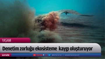Denetim zorluğu ekosisteme  kaygı oluşturuyor