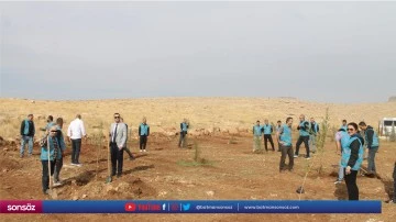 Denetimli Serbestlik M&uuml;d&uuml;rl&uuml;ğ&uuml; tarafından fidan dikimi yapıldı
