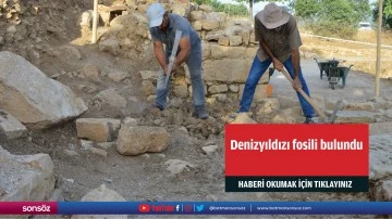 Denizyıldızı fosili bulundu