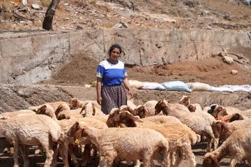 Depremde koyunları telef olan kadın besici, destekle yeniden s&uuml;r&uuml; sahibi oldu