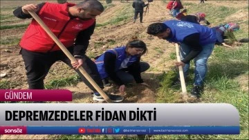 Depremzedeler fidan dikti