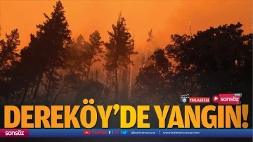 Derek&ouml;y&rsquo;de yangın!
