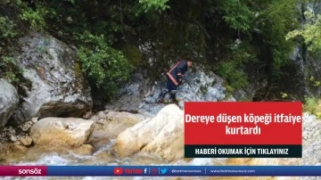 Dereye d&uuml;şen k&ouml;peği itfaiye kurtardı