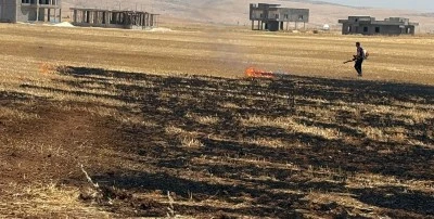 Derik'te &ccedil;ıkan anız yangını s&ouml;nd&uuml;r&uuml;ld&uuml;