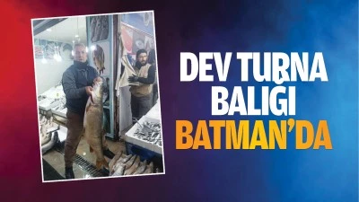 Dev turna balığı Batman'da&hellip;