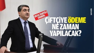 DEVA Partili Ekmen: &ldquo;&Ccedil;ift&ccedil;iye &ouml;deme ne zaman yapılacak?&rdquo;