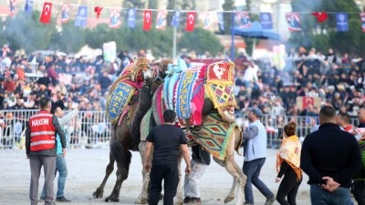 Deve g&uuml;reşi festivali d&uuml;zenlendi