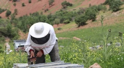 Devlet desteğiyle aldıkları &ccedil;ekme karavanla yayla yayla gezerek bal &uuml;retiyorlar