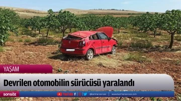 Devrilen otomobilin s&uuml;r&uuml;c&uuml;s&uuml; yaralandı