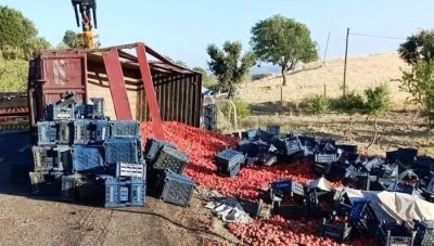 Devrilen tırın s&uuml;r&uuml;c&uuml;s&uuml; yaralandı