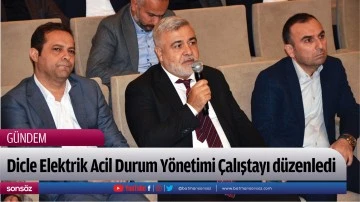 Dicle Elektrik Acil Durum Y&ouml;netimi &Ccedil;alıştayı d&uuml;zenledi 