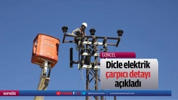 Dicle elektrik &ccedil;arpıcı detayı a&ccedil;ıkladı