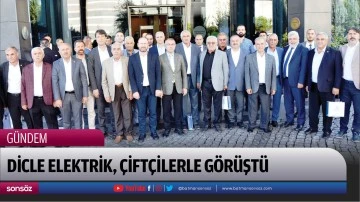 Dicle Elektrik, &ccedil;ift&ccedil;ilerle g&ouml;r&uuml;şt&uuml;