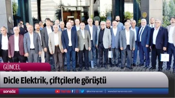Dicle Elektrik, &ccedil;ift&ccedil;ilerle g&ouml;r&uuml;şt&uuml;
