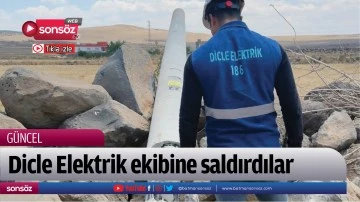 Dicle Elektrik ekibine saldırdılar