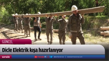 Dicle Elektrik kışa hazırlanıyor