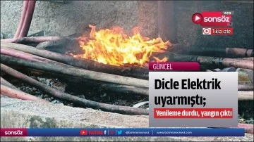 Dicle Elektrik uyarmıştı