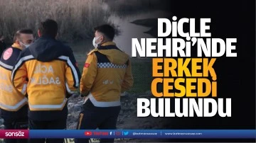 Dicle Nehri'nde erkek cesedi bulundu