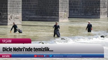 Dicle Nehri'nde temizlik...