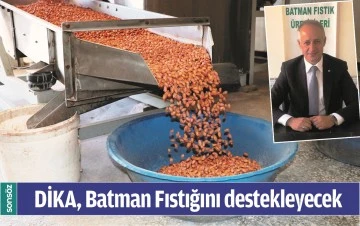 DİKA, BATMAN FISTIĞINI DESTEKLEYECEK