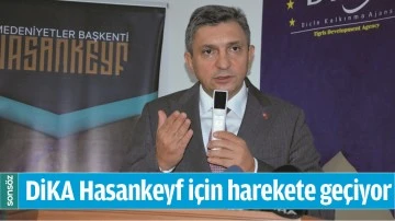DİKA HASANKEYF İ&Ccedil;İN HAREKETE GE&Ccedil;İYOR