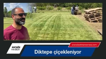 Diktepe &ccedil;i&ccedil;ekleniyor
