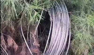 Direk hırsızları b&ouml;lgeyi elektriksiz bıraktı