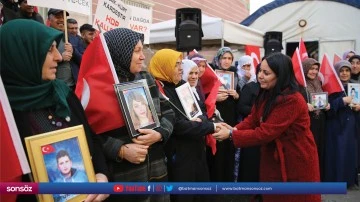 Diyarbakır annelerinin evlat n&ouml;beti devam ediyor