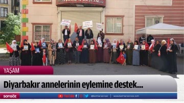 Diyarbakır annelerinin eylemine destek...