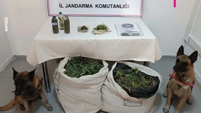 Diyarbakır'da 11 kilo 200 gram esrar ele ge&ccedil;irildi