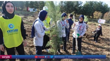 Diyarbakır'da 2 bin 23 fidan toprakla buluşturuldu