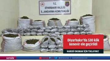 Diyarbakır'da 530 k&ouml;k kenevir ele ge&ccedil;irildi