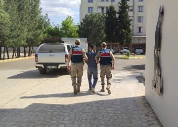Diyarbakır'da firari h&uuml;k&uuml;ml&uuml; yakalandı