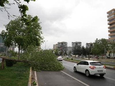 Diyarbakır'da fırtına yaşamı olumsuz etkiledi